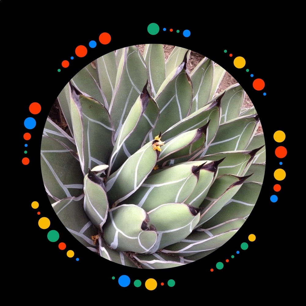 Meet your Posher, Kimberley